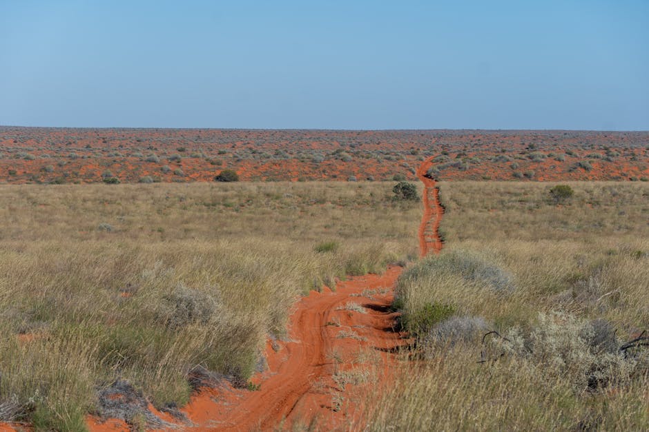 Celular en el Outback de Australia — compatibilidad eSIM Banda 28