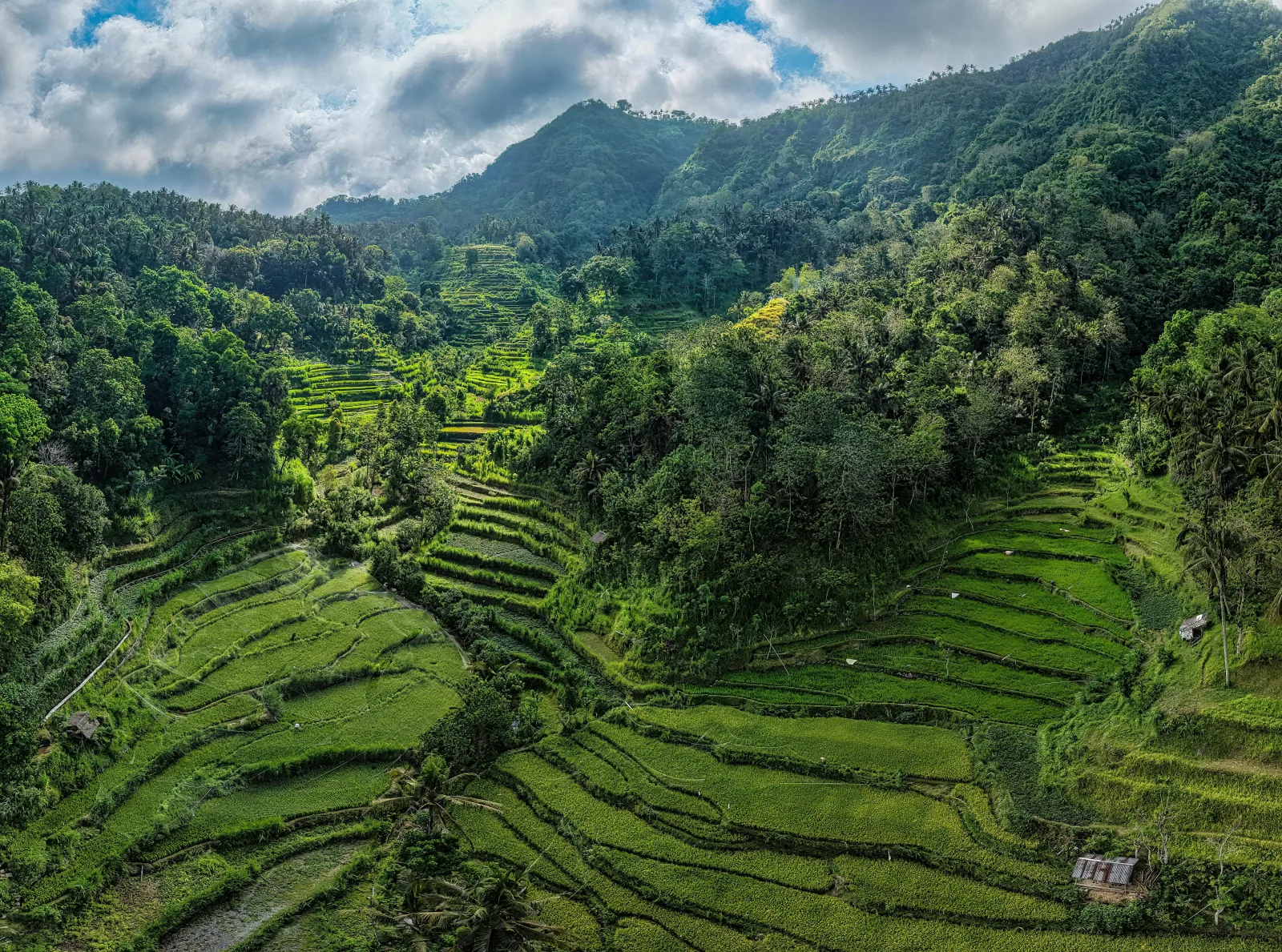 Comparativa eSIM Indonesia